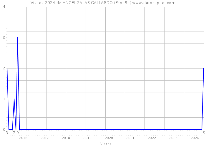 Visitas 2024 de ANGEL SALAS GALLARDO (España) 
