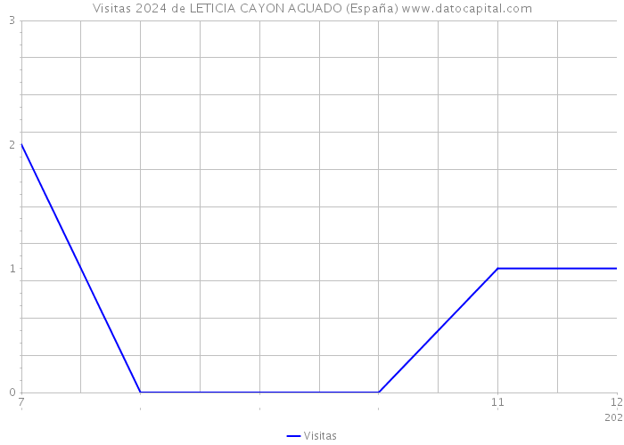 Visitas 2024 de LETICIA CAYON AGUADO (España) 