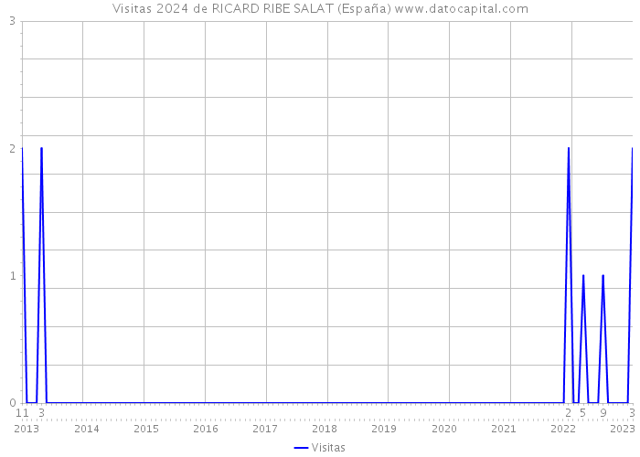 Visitas 2024 de RICARD RIBE SALAT (España) 