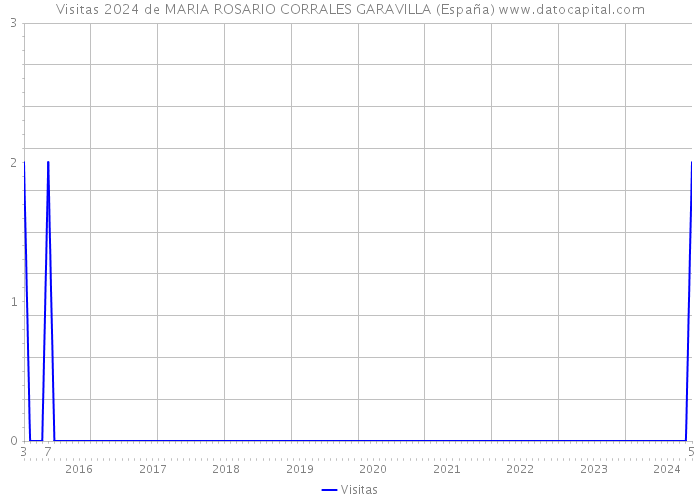 Visitas 2024 de MARIA ROSARIO CORRALES GARAVILLA (España) 