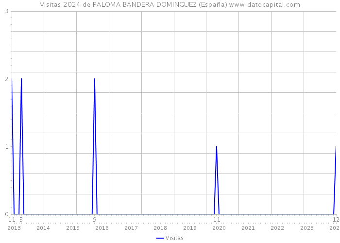 Visitas 2024 de PALOMA BANDERA DOMINGUEZ (España) 