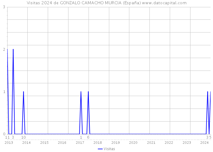 Visitas 2024 de GONZALO CAMACHO MURCIA (España) 