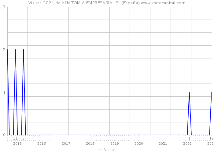 Visitas 2024 de ANATOMIA EMPRESARIAL SL (España) 