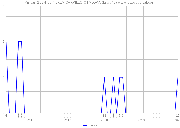 Visitas 2024 de NEREA CARRILLO OTALORA (España) 
