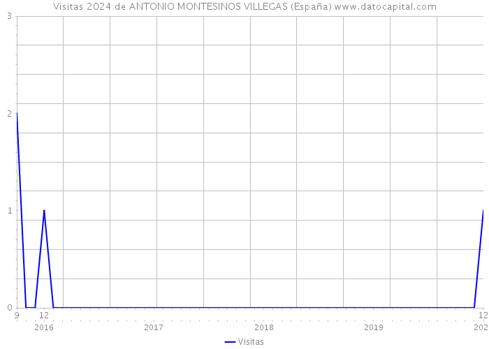 Visitas 2024 de ANTONIO MONTESINOS VILLEGAS (España) 