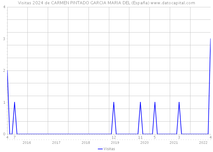 Visitas 2024 de CARMEN PINTADO GARCIA MARIA DEL (España) 