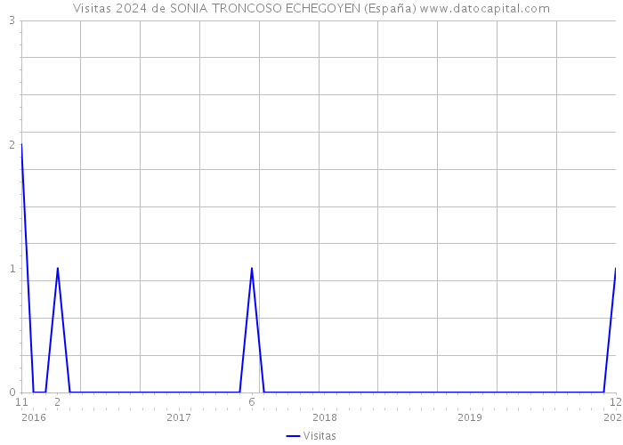Visitas 2024 de SONIA TRONCOSO ECHEGOYEN (España) 