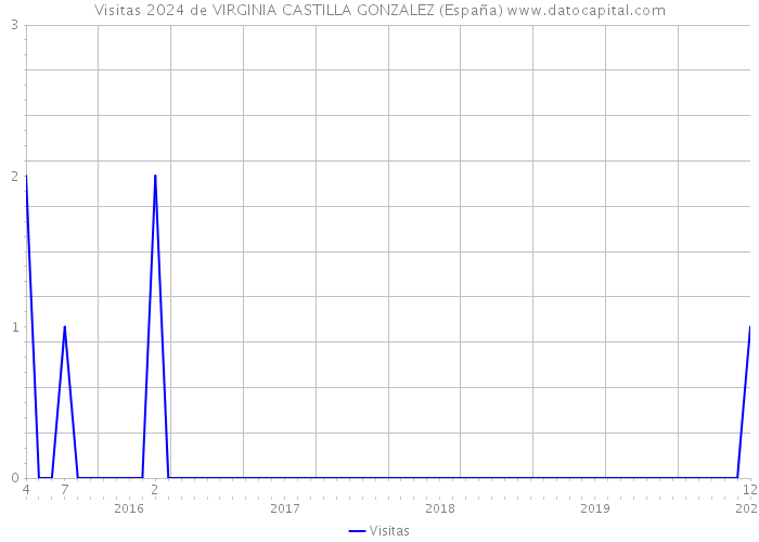 Visitas 2024 de VIRGINIA CASTILLA GONZALEZ (España) 