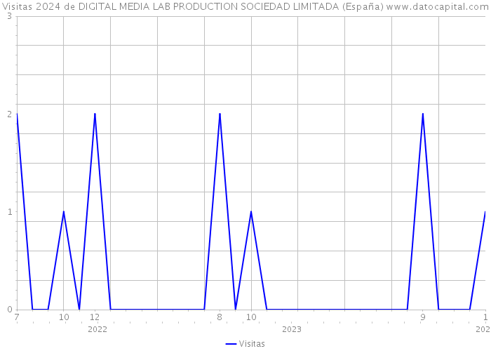 Visitas 2024 de DIGITAL MEDIA LAB PRODUCTION SOCIEDAD LIMITADA (España) 