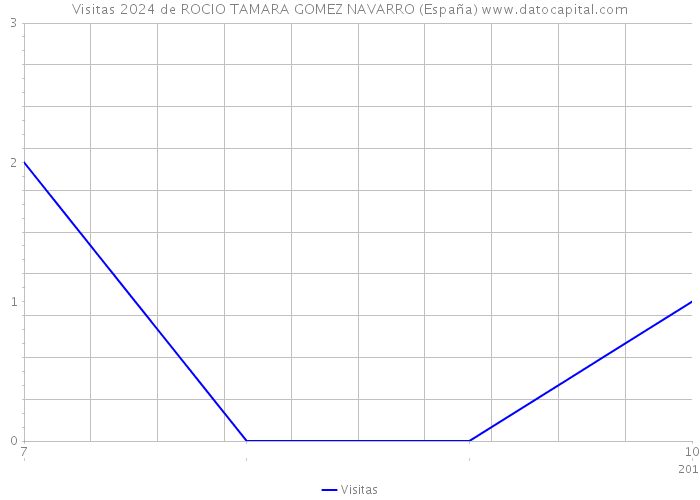 Visitas 2024 de ROCIO TAMARA GOMEZ NAVARRO (España) 