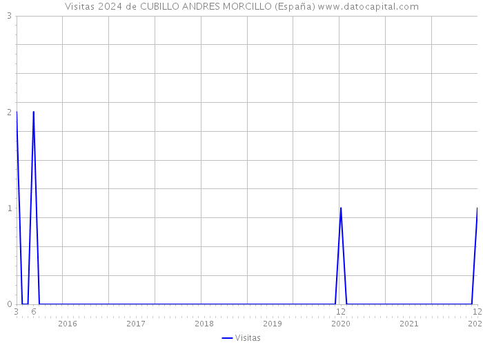 Visitas 2024 de CUBILLO ANDRES MORCILLO (España) 