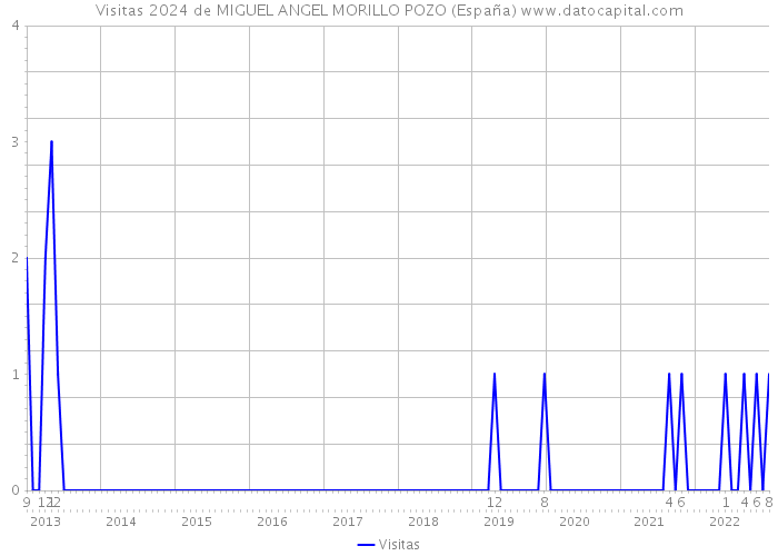 Visitas 2024 de MIGUEL ANGEL MORILLO POZO (España) 