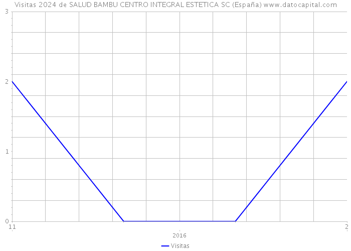 Visitas 2024 de SALUD BAMBU CENTRO INTEGRAL ESTETICA SC (España) 