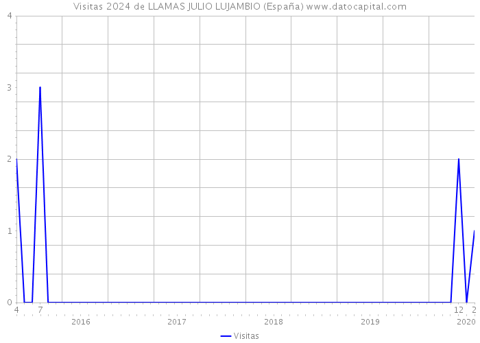 Visitas 2024 de LLAMAS JULIO LUJAMBIO (España) 