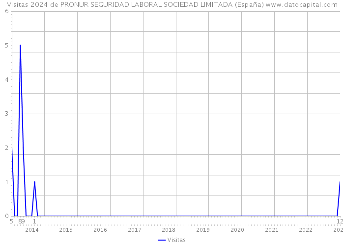 Visitas 2024 de PRONUR SEGURIDAD LABORAL SOCIEDAD LIMITADA (España) 