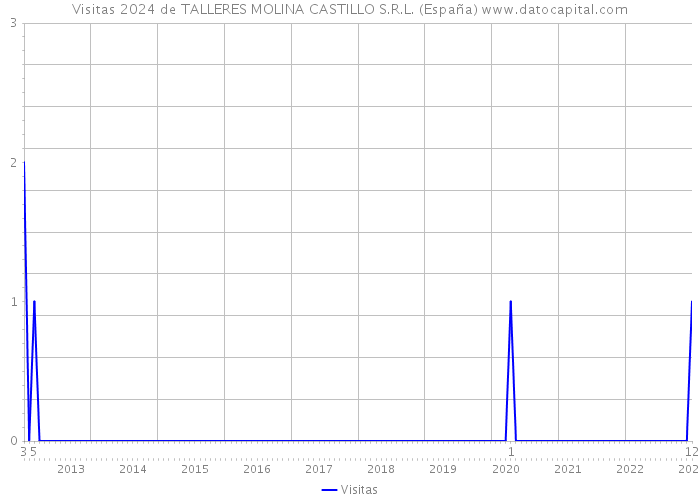 Visitas 2024 de TALLERES MOLINA CASTILLO S.R.L. (España) 