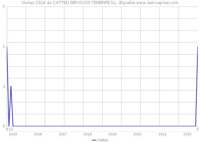 Visitas 2024 de CATTEN SERVICIOS TENERIFE S.L. (España) 