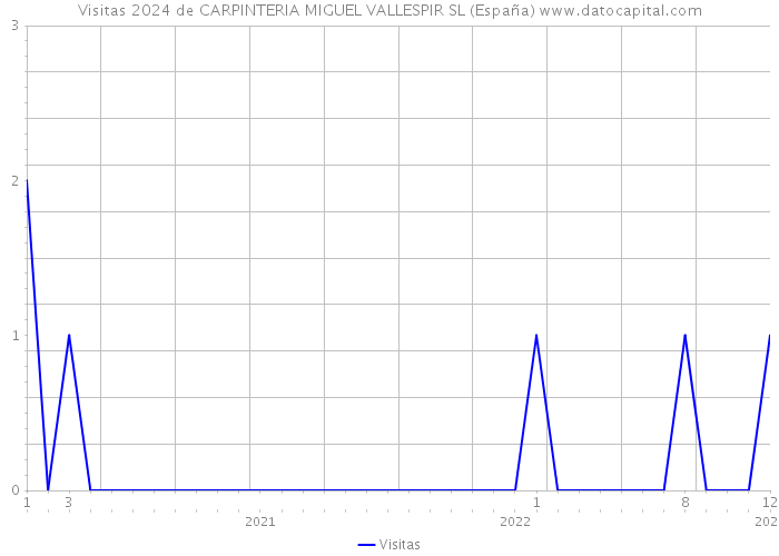 Visitas 2024 de CARPINTERIA MIGUEL VALLESPIR SL (España) 
