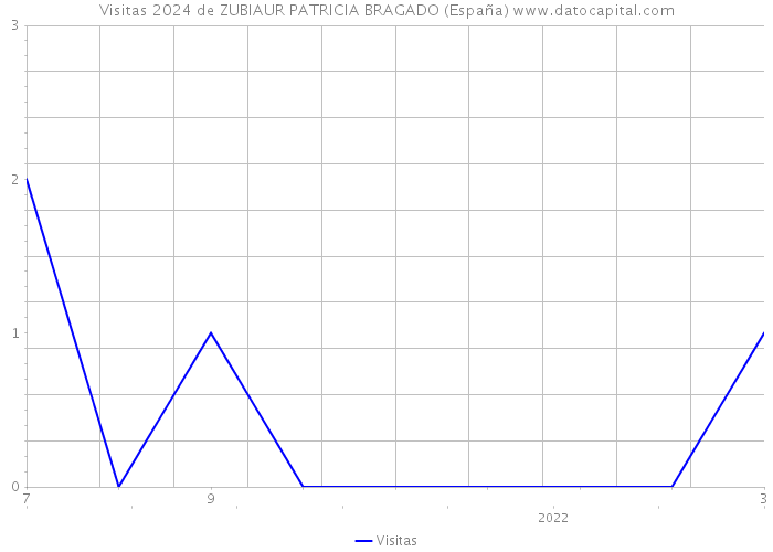 Visitas 2024 de ZUBIAUR PATRICIA BRAGADO (España) 