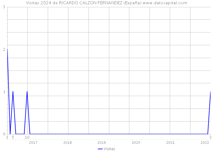 Visitas 2024 de RICARDO CALZON FERNANDEZ (España) 