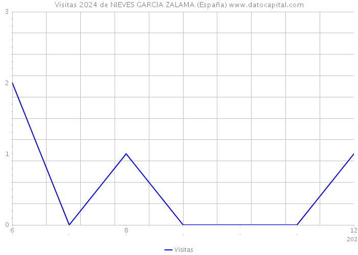 Visitas 2024 de NIEVES GARCIA ZALAMA (España) 