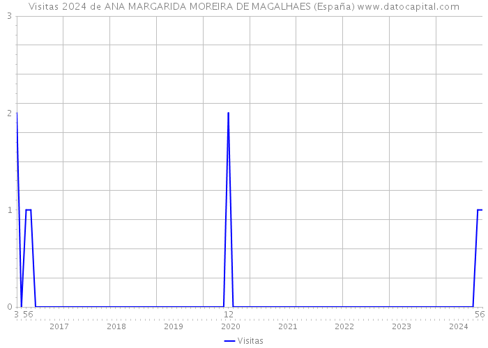 Visitas 2024 de ANA MARGARIDA MOREIRA DE MAGALHAES (España) 