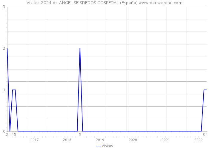 Visitas 2024 de ANGEL SEISDEDOS COSPEDAL (España) 