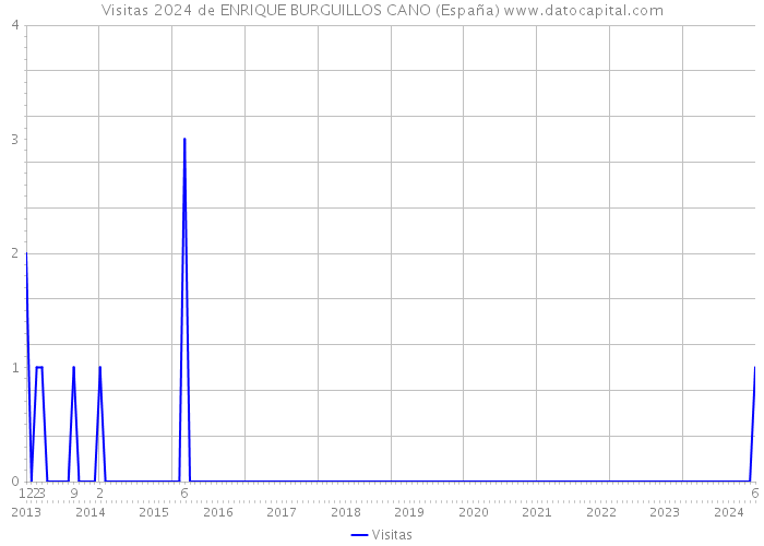 Visitas 2024 de ENRIQUE BURGUILLOS CANO (España) 