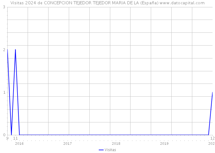 Visitas 2024 de CONCEPCION TEJEDOR TEJEDOR MARIA DE LA (España) 
