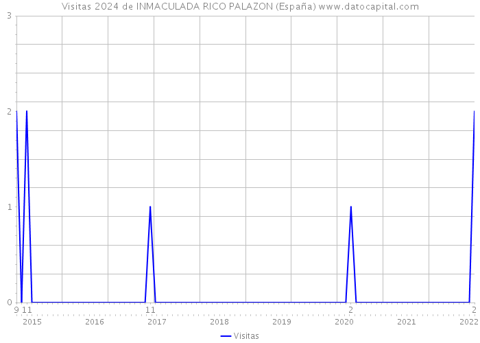 Visitas 2024 de INMACULADA RICO PALAZON (España) 