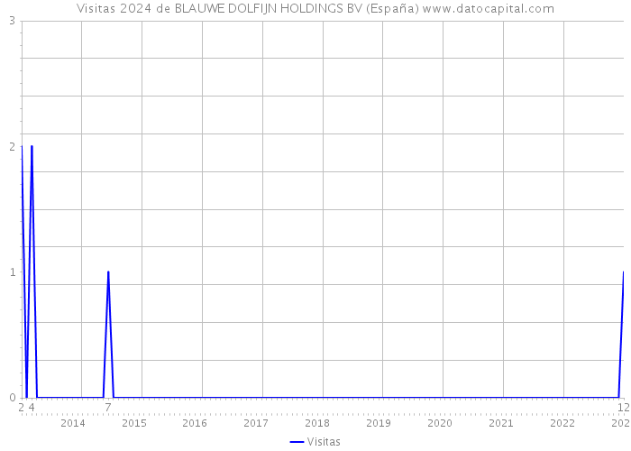Visitas 2024 de BLAUWE DOLFIJN HOLDINGS BV (España) 