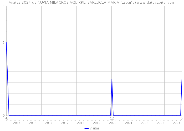 Visitas 2024 de NURIA MILAGROS AGUIRRE IBARLUCEA MARIA (España) 
