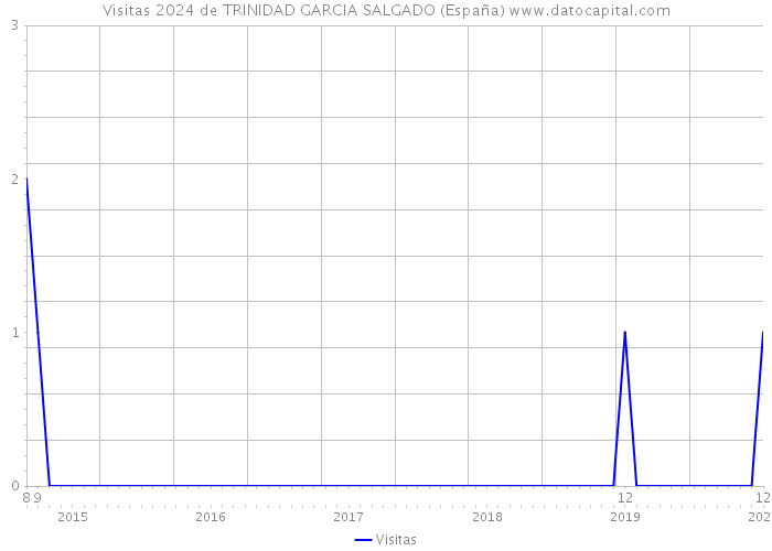 Visitas 2024 de TRINIDAD GARCIA SALGADO (España) 