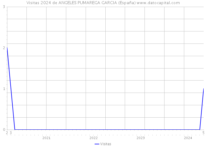 Visitas 2024 de ANGELES PUMAREGA GARCIA (España) 