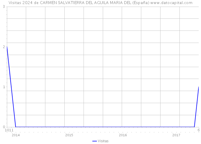 Visitas 2024 de CARMEN SALVATIERRA DEL AGUILA MARIA DEL (España) 