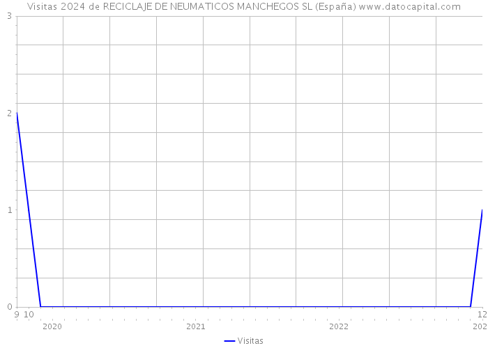 Visitas 2024 de RECICLAJE DE NEUMATICOS MANCHEGOS SL (España) 
