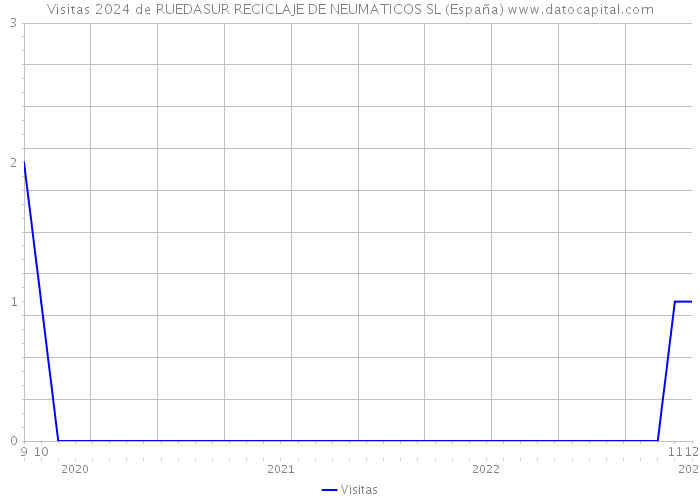 Visitas 2024 de RUEDASUR RECICLAJE DE NEUMATICOS SL (España) 