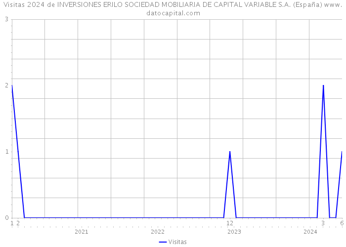 Visitas 2024 de INVERSIONES ERILO SOCIEDAD MOBILIARIA DE CAPITAL VARIABLE S.A. (España) 