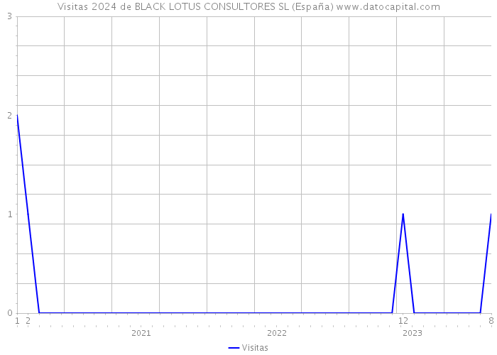 Visitas 2024 de BLACK LOTUS CONSULTORES SL (España) 