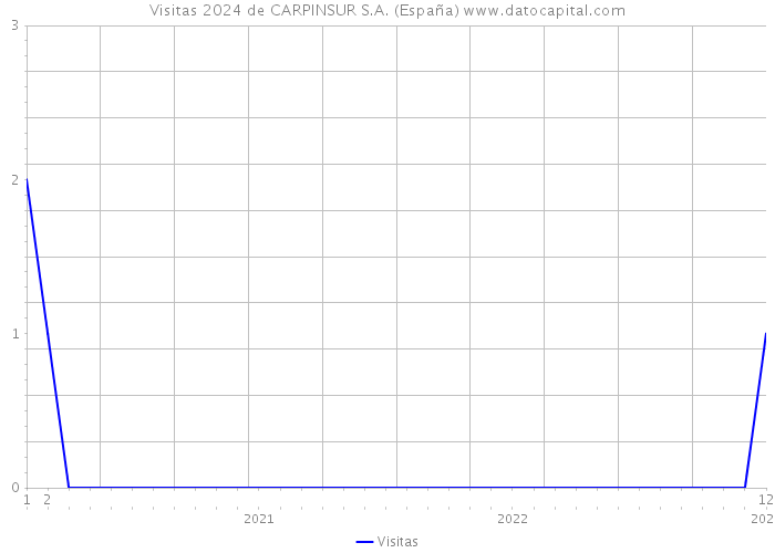 Visitas 2024 de CARPINSUR S.A. (España) 