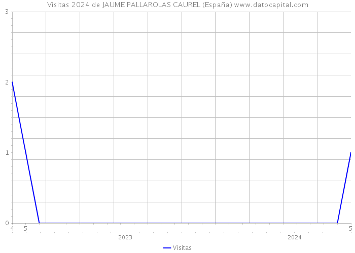 Visitas 2024 de JAUME PALLAROLAS CAUREL (España) 