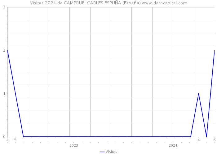 Visitas 2024 de CAMPRUBI CARLES ESPUÑA (España) 