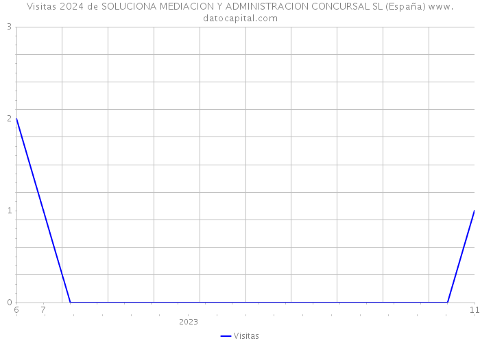 Visitas 2024 de SOLUCIONA MEDIACION Y ADMINISTRACION CONCURSAL SL (España) 