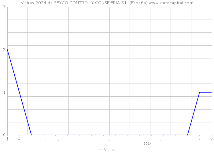 Visitas 2024 de SEYCO CONTROL Y CONSEJERIA S.L. (España) 