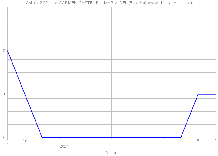 Visitas 2024 de CARMEN CASTEL BUJ MARIA DEL (España) 