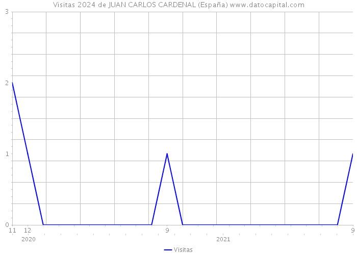 Visitas 2024 de JUAN CARLOS CARDENAL (España) 
