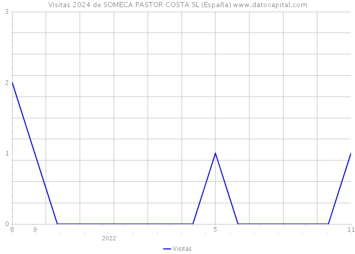 Visitas 2024 de SOMECA PASTOR COSTA SL (España) 