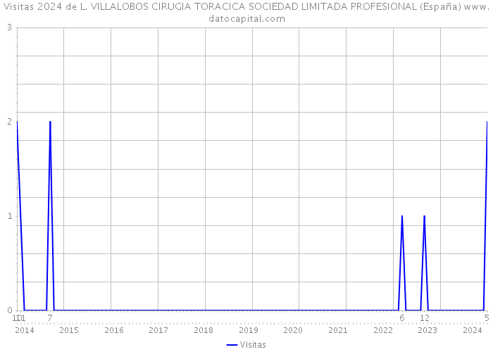 Visitas 2024 de L. VILLALOBOS CIRUGIA TORACICA SOCIEDAD LIMITADA PROFESIONAL (España) 
