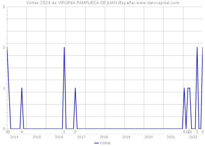 Visitas 2024 de VIRGINIA PAMPLIEGA DE JUAN (España) 