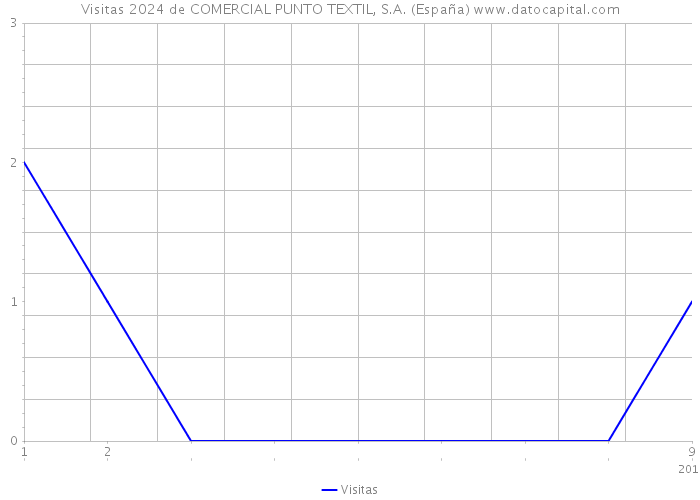 Visitas 2024 de COMERCIAL PUNTO TEXTIL, S.A. (España) 